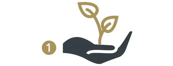 Fairtrade Kaffee der Kaffeerösterei Kirmse