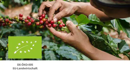 EU-Bio Logo Kaffee Kirschen