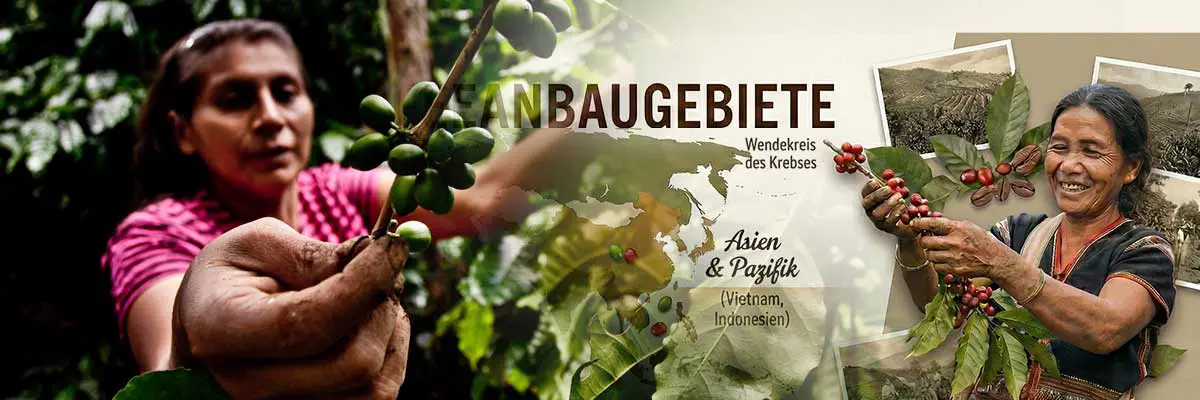 Weltweite Kaffeeanbaugebiete